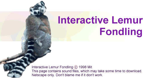 Interactive Lima Fondling